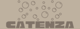 catenza logo