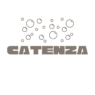catenza logo transparent background
